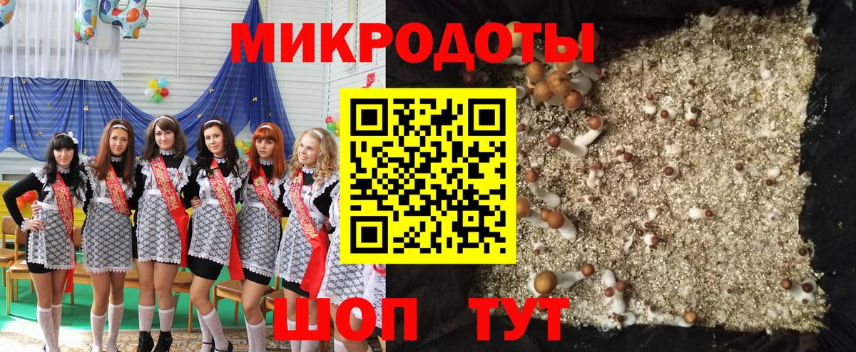 наркотики  Вход с VPN  Протвино  Псилоцибиновые грибы Magic Shrooms 