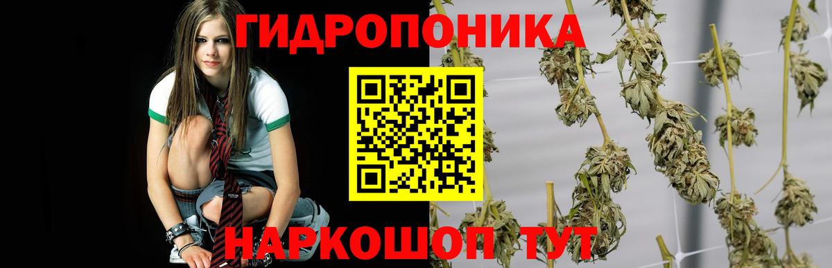 Шишки марихуана Bruce Banner Протвино